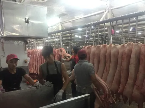 Giá heo hơi hôm nay, 21-12: Heo mảng tại chợ đầu mối lập đỉnh mới