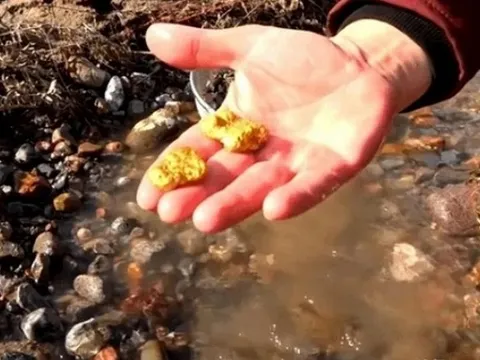 Lão nông phát hiện cả núi vàng trong hang, đem đến ngân hàng đổi lấy tiền thì cảnh sát ập đến