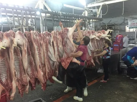 Giá heo hơi hôm nay, 24-12: Vượt mốc 70.000 đồng/kg