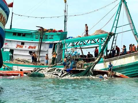 Kịp thời cứu 13 ngư dân trong vụ chìm tàu cá gần đảo Hòn Chuối