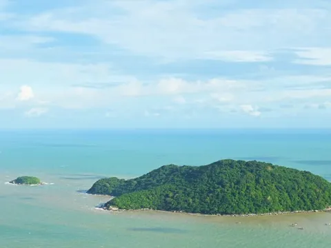 Cà Mau chuyển gần 10ha rừng phòng hộ để làm đường ra đảo Hòn Khoai