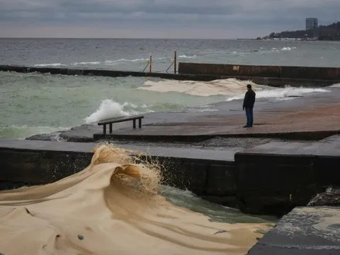 Tràn dầu hướng dương ở Odessa sau không kích, chim chết la liệt dọc bờ biển