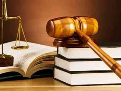 Những Luật, Nghị quyết có hiệu lực từ 1/1/2026