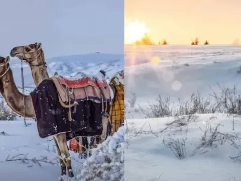 Tuyết phủ trắng sa mạc, tạo nên “thiên đường mùa đông” hiếm có ở Saudi Arabia