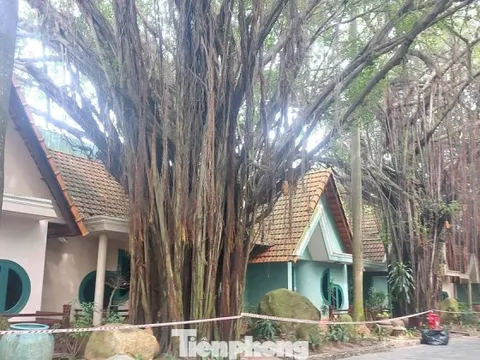 Cận cảnh hàng chục căn villa khu resort ở TPHCM bị phong tỏa vì nứt tường, sập trần