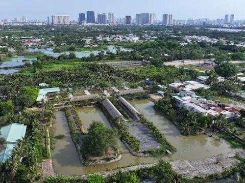 Luật Quy hoạch 2025: 3 LỢI ÍCH LỚN DÂN CẦN BIẾT khi chuyển đổi đất nông nghiệp