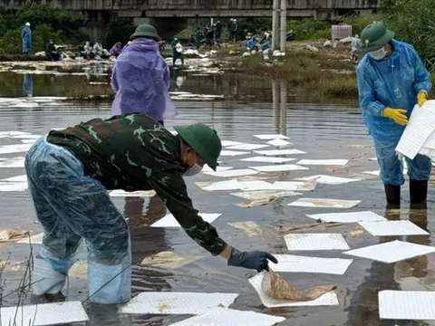 Bộ Quốc phòng huy động thiết bị khắc phục sự cố tràn dầu ở Dung Quất