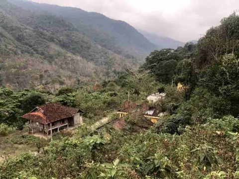 Thanh Hóa “bật đèn xanh” chuyển gần 15 ha rừng để mở rộng một cụm công nghiệp