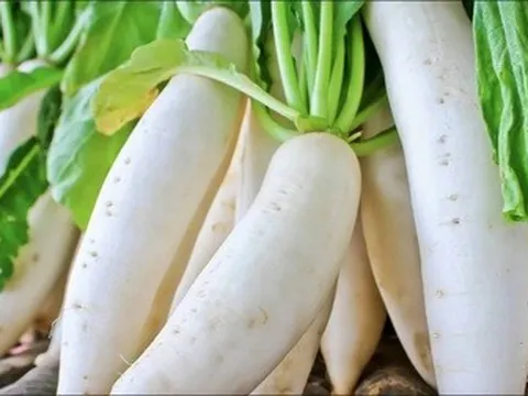 Loại củ dân dã được ví như “nhân sâm mùa đông”