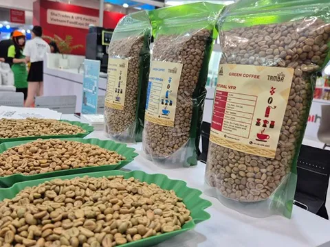 "Cân não" trước vụ cà phê mới