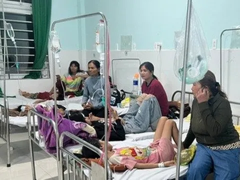 Cả nước có 74 vụ ngộ độc thực phẩm, hơn 14.000 cơ sở vi phạm