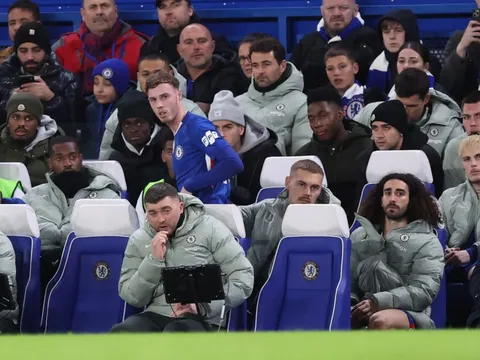 Palmer bất mãn với HLV Chelsea