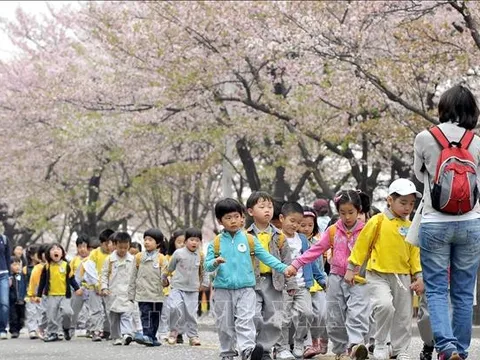 Hàn Quốc mở điểm giữ trẻ đến nửa đêm, phí 5.000 won/ngày