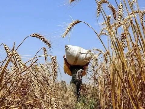 Giá hàng hóa có thể chạm đáy mới vào năm 2026