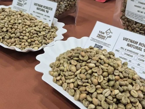 Giá cà phê hôm nay 30-12: Tiếp tục đà tăng