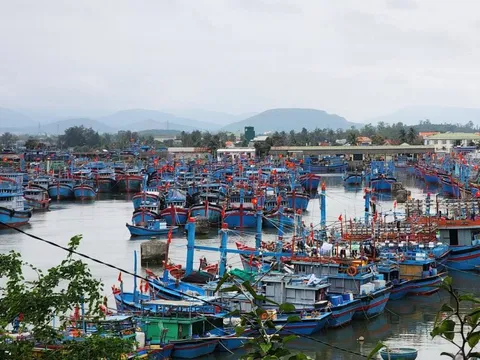 Quảng Ngãi chi hơn 20 tỉ đồng hỗ trợ chuyển đổi nghề, giải bản 130 tàu cá