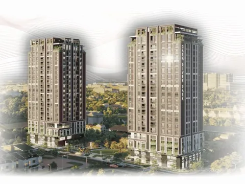 Sau Kim Cương Xanh, Cần Thơ cấp phép cho Kim Cương Đỏ