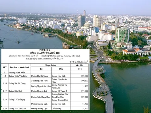 Bảng giá đất Cần Thơ 2026: Top 10 tuyến đường có giá trên 100 triệu/m2