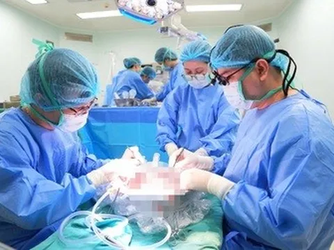 Thực hiện thành công ca ghép gan cuối cùng năm 2025