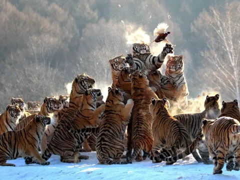 Ảnh gây sửng sốt về Trung Quốc năm 2025