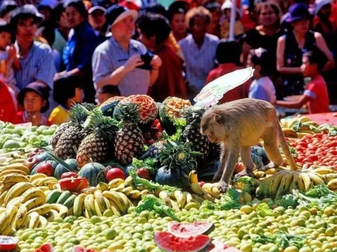 Buffet cho khỉ: Đại tiệc độc nhất vô nhị ở Thái Lan