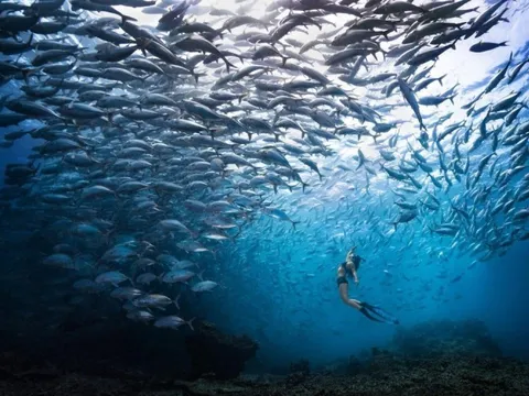 Du lịch Malaysia đặt mục tiêu 80 tỉ USD trong năm 2026