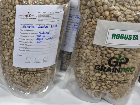 Giá cà phê hôm nay 3-1: Tiếp tục tăng