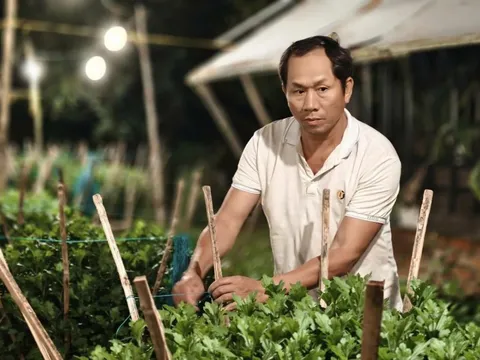 Làng hoa Tết gượng dậy sau bão lũ