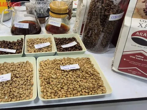Giá cà phê hôm nay 5-1: Bất ngờ về Arabica Việt