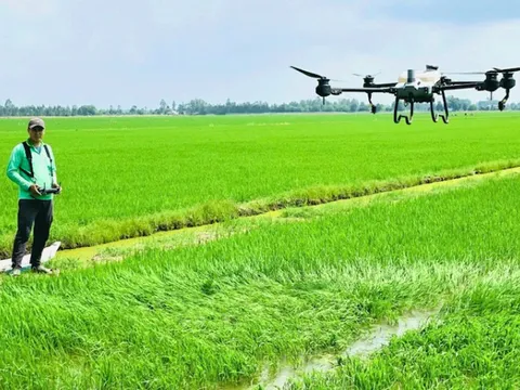 2 hoạt chất thuốc bảo vệ thực vật sắp bị cấm sử dụng tại Việt Nam