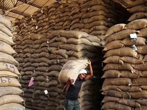 Ấn Độ vượt Trung Quốc trở thành nhà sản xuất gạo lớn nhất thế giới