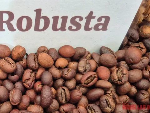 Giá cà phê hôm nay 6-1: Quay đầu giảm sau 7 phiên tăng