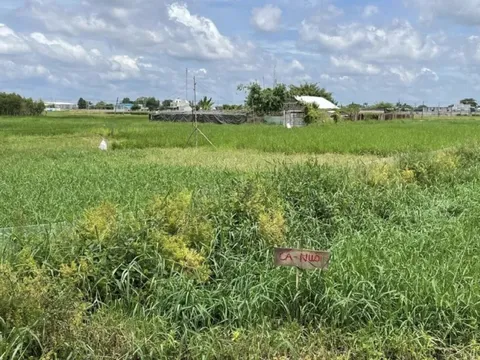 TPHCM: Khẩn trương xây dựng hệ số điều chỉnh bảng giá đất