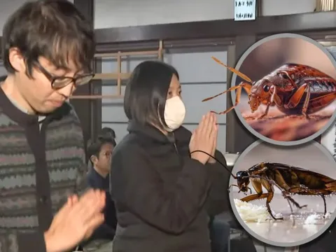 Độc lạ Nhật Bản: Công ty thuốc diệt côn trùng làm lễ tưởng niệm côn trùng đã chết