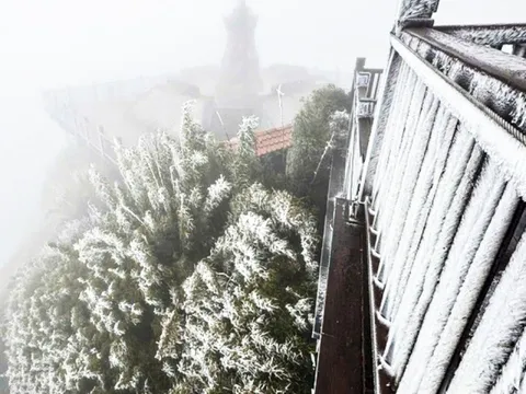 Nhiệt độ giảm xuống -3°C rạng sáng, băng giá phủ trắng đỉnh Fansipan