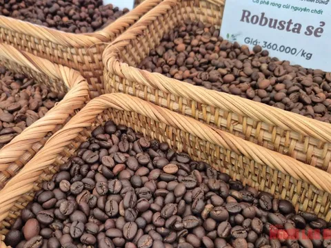 Giá cà phê hôm nay 7-1: Bật tăng, lấy lại mốc quan trọng