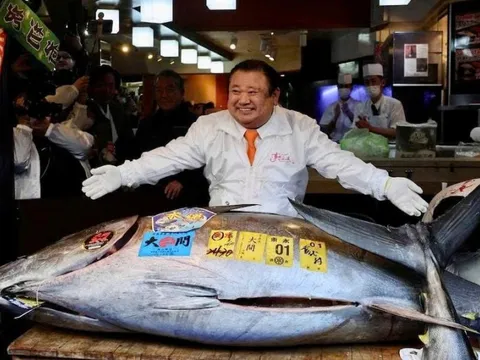 Con cá ngừ to như chiếc xe máy trị giá hơn 3 triệu USD ở Nhật Bản