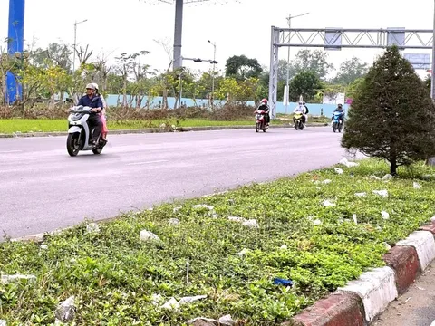 Cửa ngõ Cần Thơ đầy cỏ dại, rác thải: Thành phố lên kế hoạch 'đại chỉnh trang'