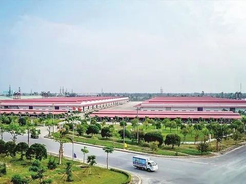 Tập đoàn VSIP nghiên cứu đầu tư dự án khu công nghiệp tại Đà Nẵng