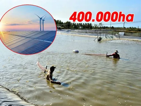 Nghiên cứu triển khai điện gió, điện mặt trời kết hợp nuôi trồng thủy sản và điện khí LNG tại Cà Mau