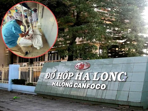 Vụ hơn 120 tấn thịt lợn nhiễm bệnh ôi thiu tuồn vào Công ty Đồ hộp Hạ Long: Người thu mua khai gì?