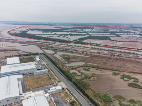Một doanh nghiệp được giao gần 3 ha đất trong KKT Đình Vũ - Cát Hải để làm dự án gần 70.000 tỷ