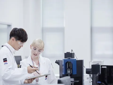 Phanh xe Hàn Quốc Sangsin Hi-Q - Lựa chọn hàng đầu cho mọi dòng xe tại Việt Nam