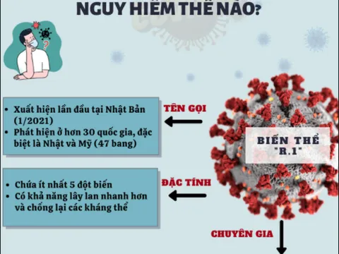 Biến thể R.1 của virus SARS-CoV-2 vượt qua kháng thể ở người đã tiêm vaccine