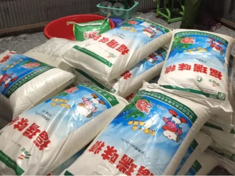 An Giang: Bắt giữ số lượng lớn bột ngọt và bột giặt giả mạo nhãn hiệu lớn